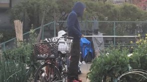 2011年至今，阿申用什么身份在日本居住？长期在留？永久居住权？归化入籍？